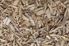 biomass boilers Cauldon Lowe